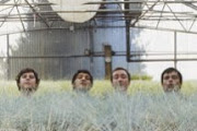 The Shins