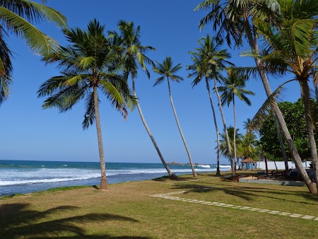 10. Plaje Sri Lanka.JPG