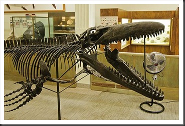 2011Aug1_Museum_of_Geology-1