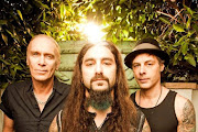 Winery Dogs