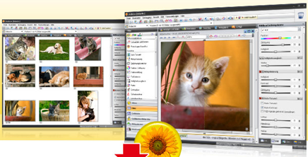 Screenshots do StudioLine Photo Basic (www.studioline.net)