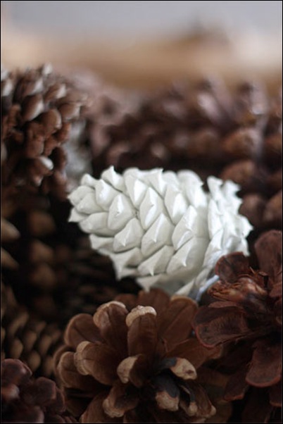 Paint_Dipped_Pinecones