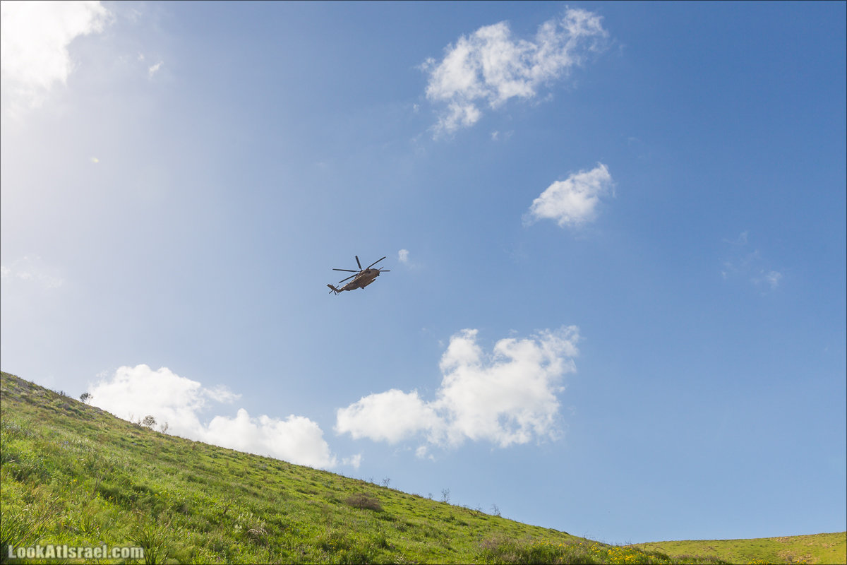 LookAtIsrael.com - Ручей (нахаль) Талкид | Nahal Talkid | נחל תלקיד