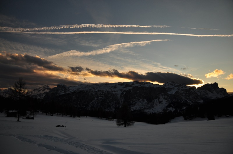 DSC_8279.JPG DSC 8279