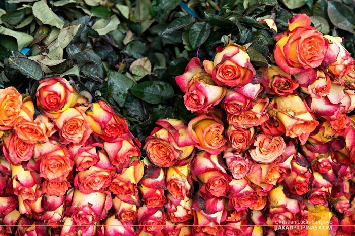Roses Ready for Arrangement at Dangwa Flower Market in Manila
