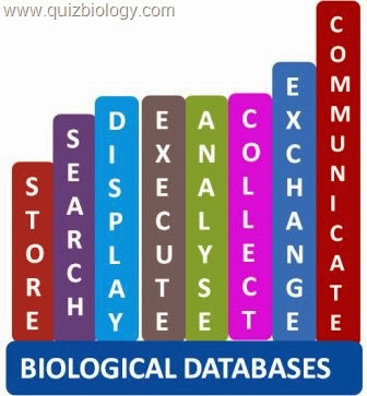 Biological Databases