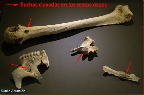 Restos óseo con puntas de sílex incrustadas - Hipogeo de Longar - Museo de Navarra