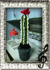 cactus 5