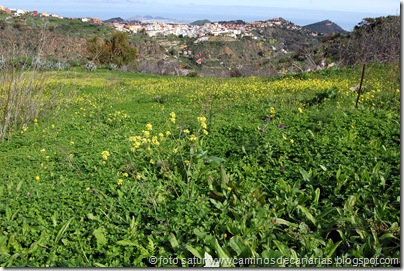 4447 La Atalaya-Barranco García Ruíz 4447 La Atalaya-Barranco García Ruíz