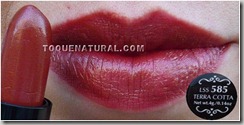 585 - NYX Round Lipstick - Terra Cotta boca1[3]