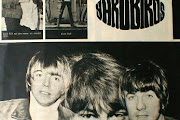 Yardbirds