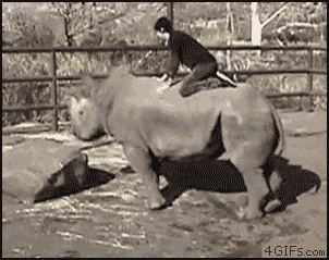 [LIKEusonFacebookGIF433.gif]