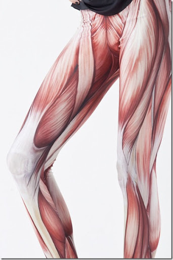 Muscles-Leggings-Pants