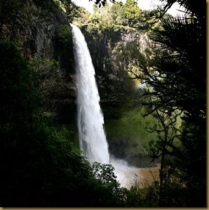 Waterfall bridal veil falls New Zealand