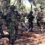 Sidi Bel Abbes : Le groupe terroriste débusqué, préparait une action criminelle