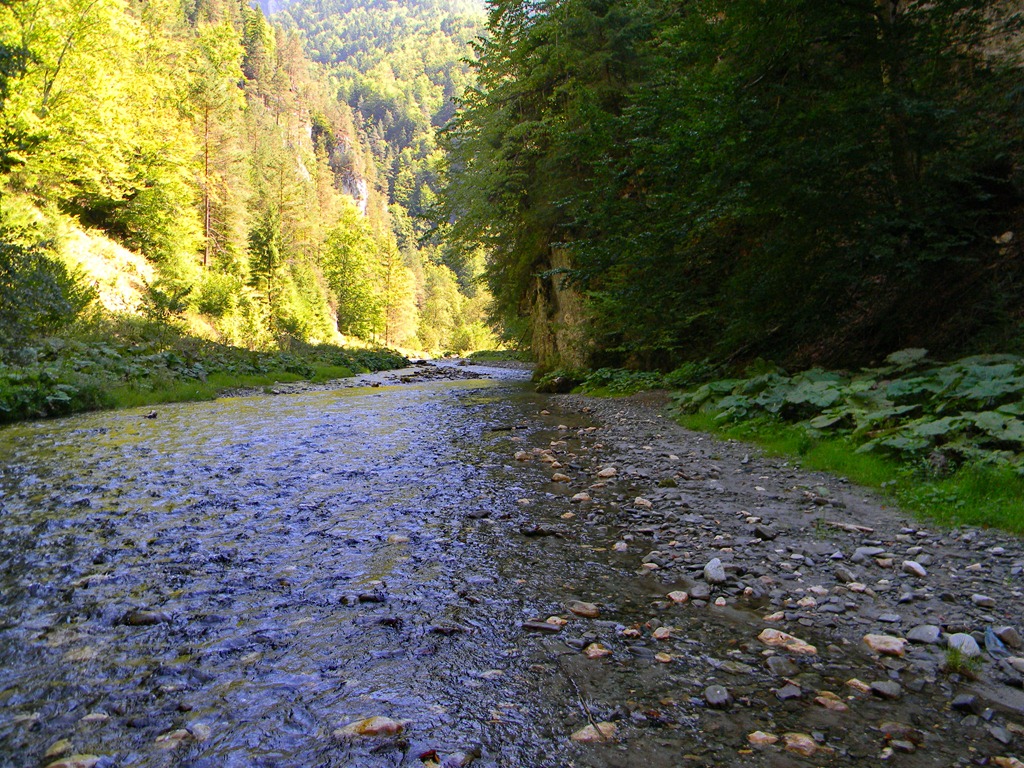 [DSCN50103.jpg]