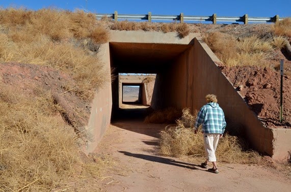 Historic Route 55 needs a bit of care