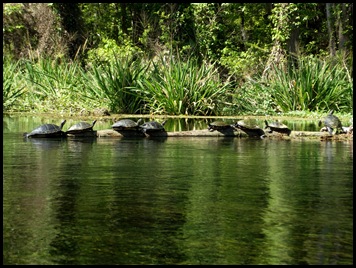 kayaking the Ichtucknee 070