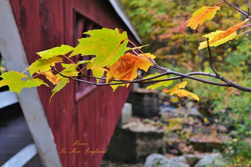 fall bridge2