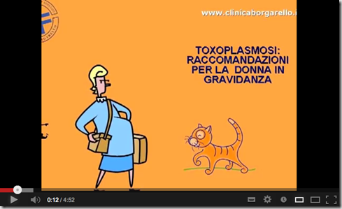 TOXOPLASMOSI