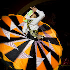 IMG_6843.jpg
