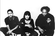 Throwing Muses