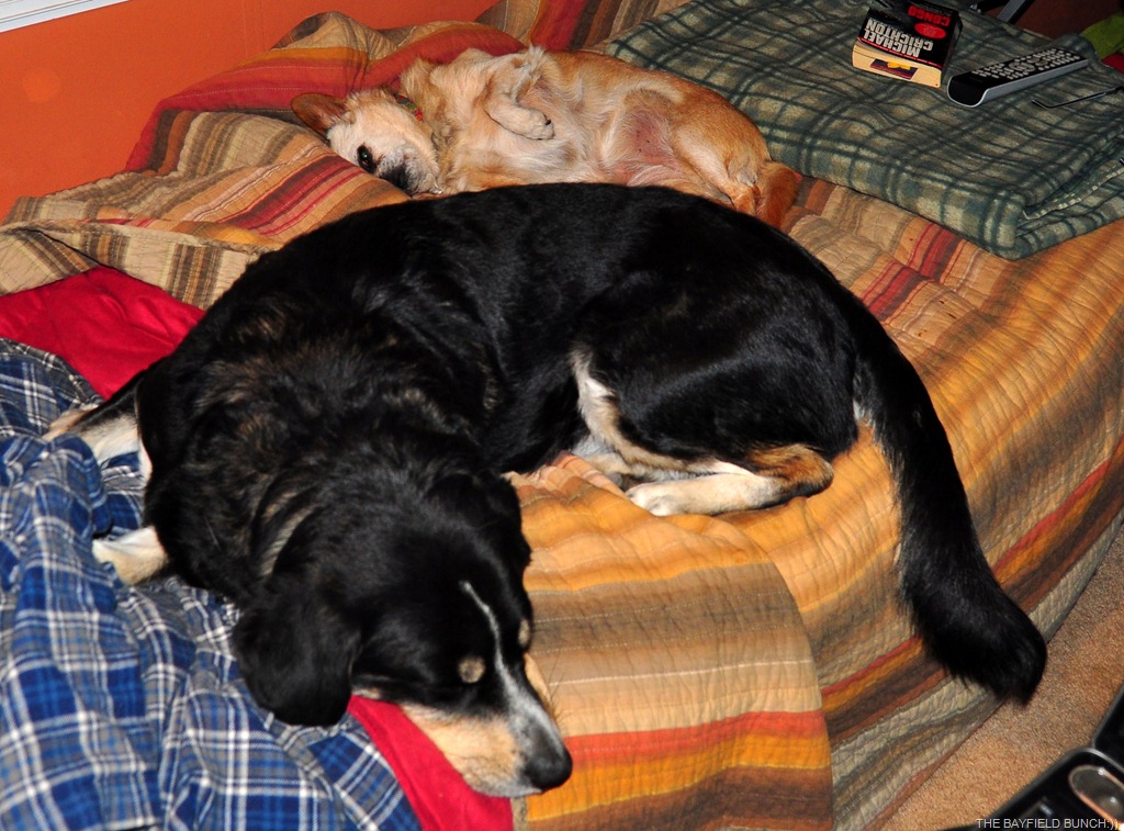 [DSC_0014%255B4%255D.jpg]