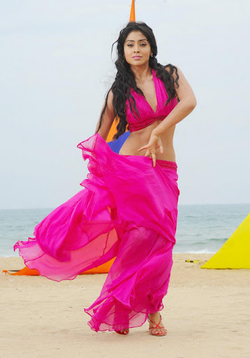 Shriya Saran in Hot Pink Dress