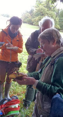 Irene discusses the identification features of a Boletus fungus