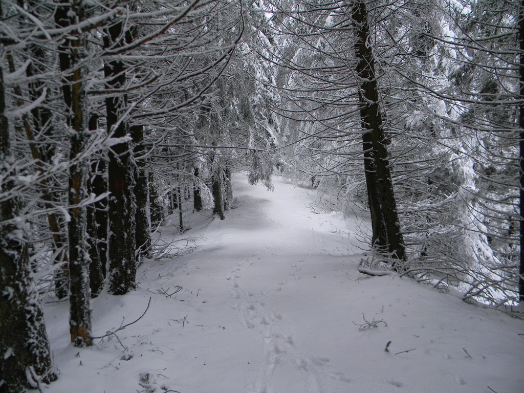[DSCN07103.jpg]