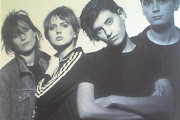 Elastica