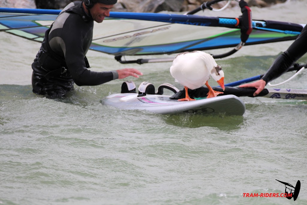 20140330_La_ganguise_079.JPG