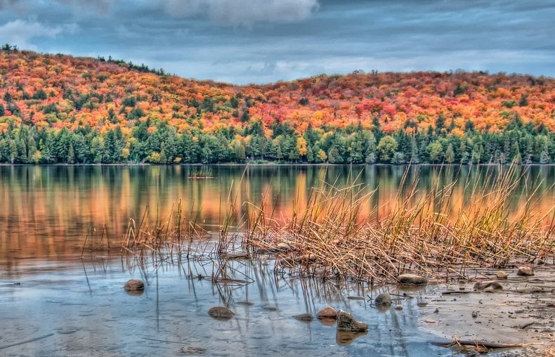 Algonquin- Park-3