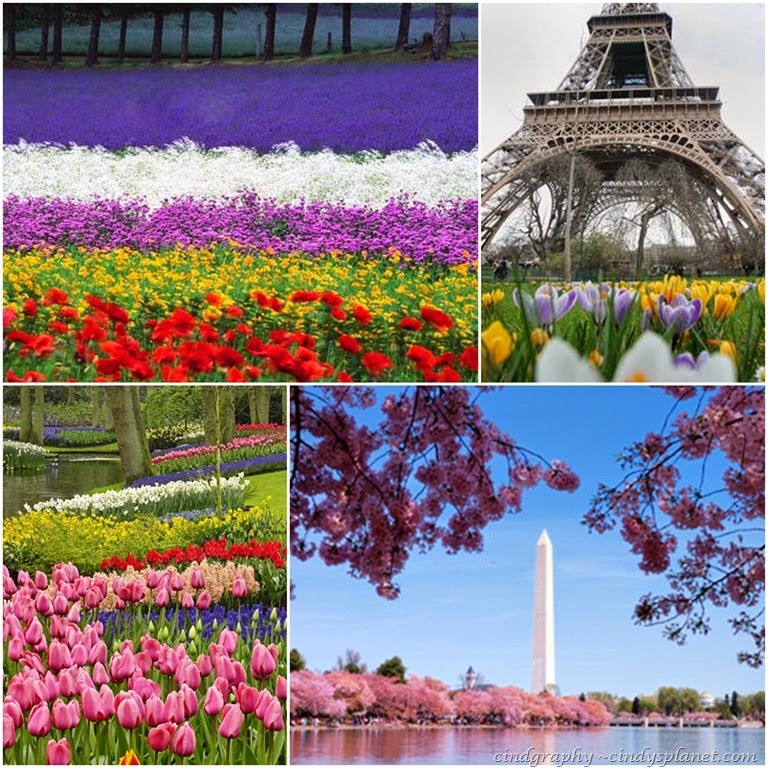 [spring%255B3%255D.jpg.webp]