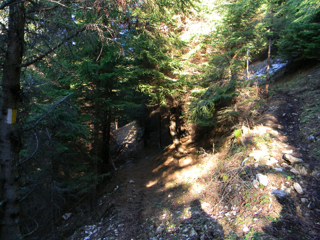[DSCN10093.jpg]