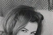 shelley fabres