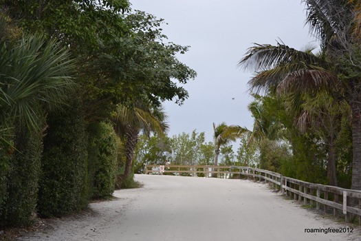 Road to the Fishing Pier