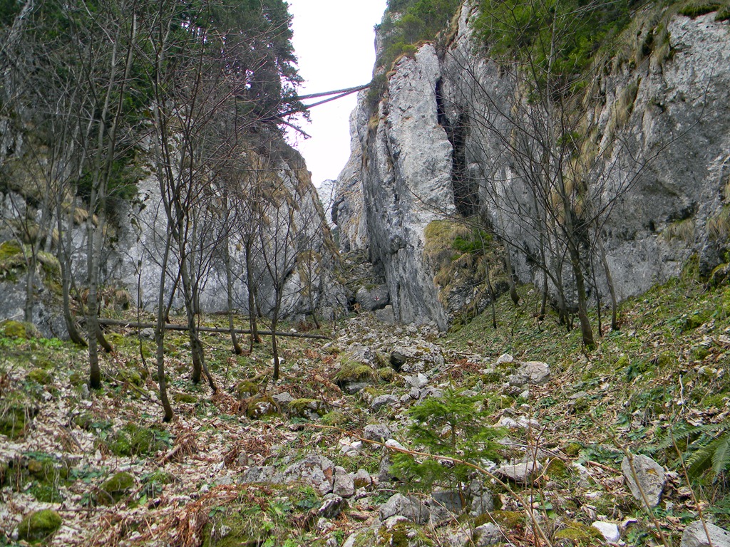 [DSCN48533.jpg]