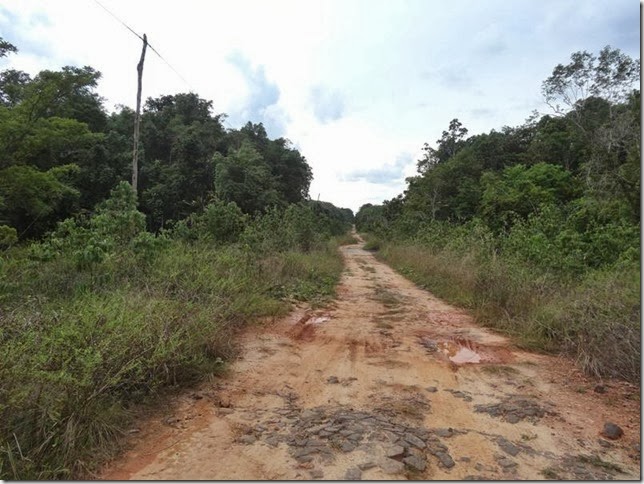 BR-319_Humaita_Manaus_Day_3_DSC05656 BR-319_Humaita_Manaus_Day_3_DSC05656