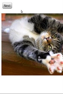 Free Download Cats APK