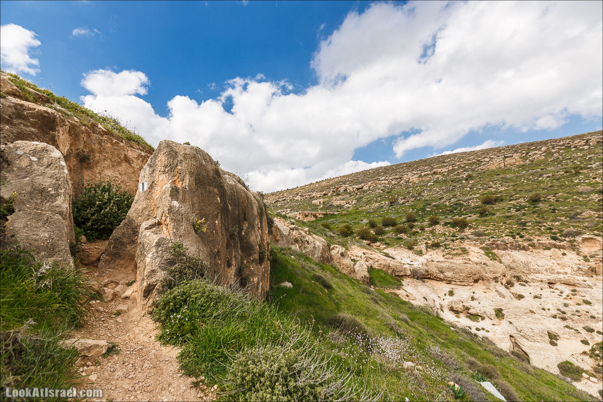LookAtIsrael.com - Ущелья Харитона и Суккийская лавра в ущелье Ткоа | Wadi Tekoa and Hariton Cave | נחל תקוע מערת חריטון