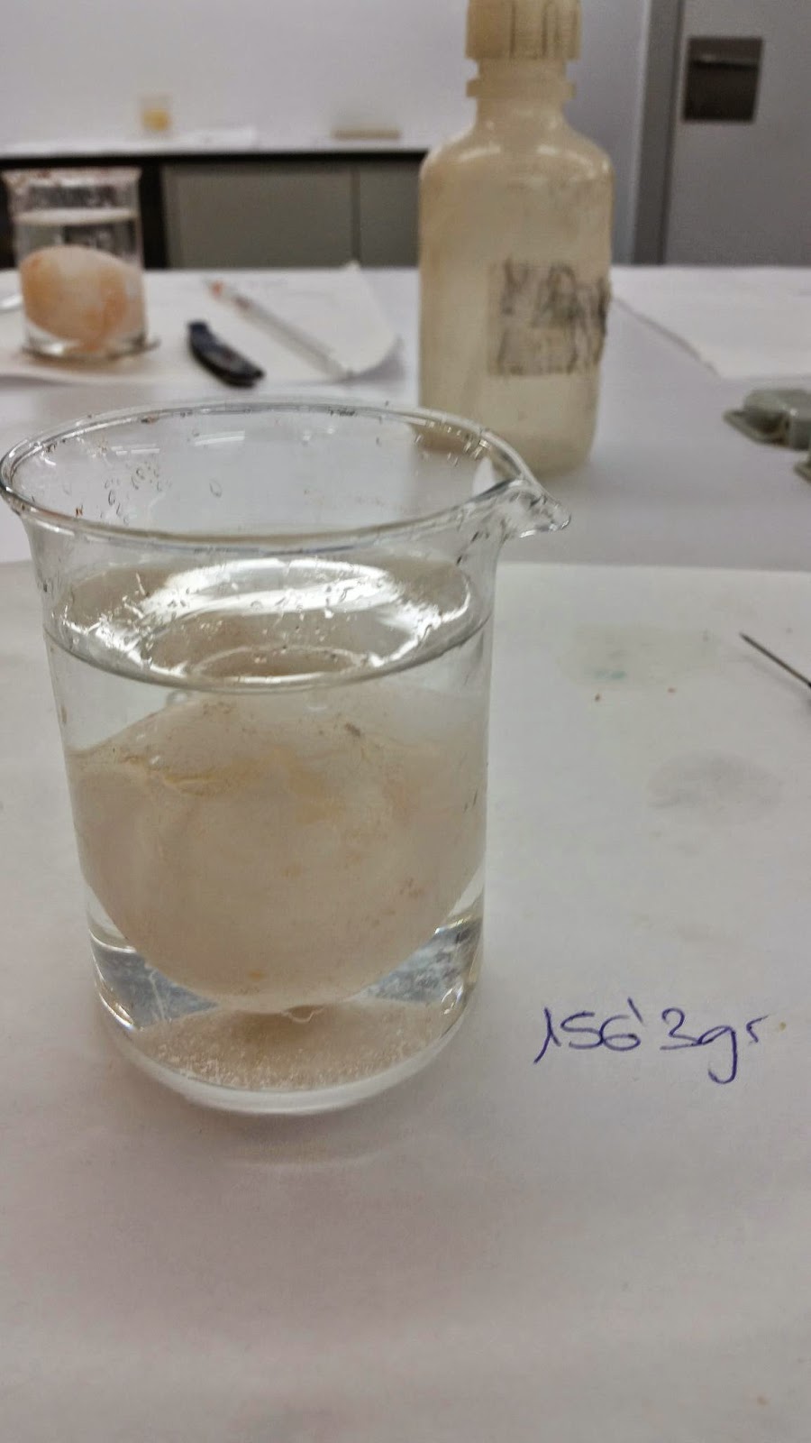 Science Lab L1. Osmosis