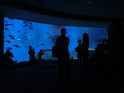 2012-10-20 Mallorca by BREITENGRAD53 - 203