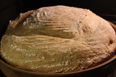 10-percent-whole-wheat-loaf_009