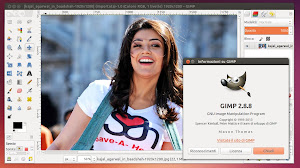 Gimp 2.8.8 Ubuntu Linux