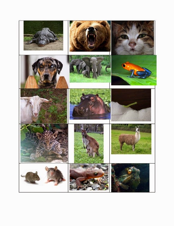 [ABC-animal-sheet-for-letter-find-pag%255B2%255D.jpg]