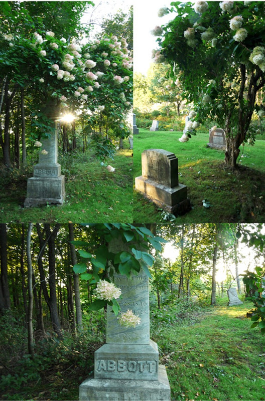cemetery-LR