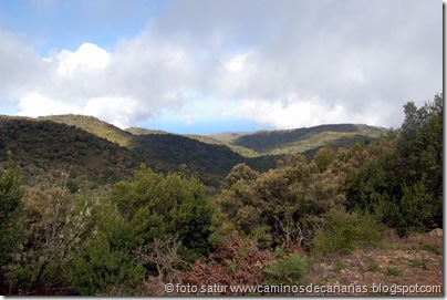 038 Garajonay-El Cedro 038 Garajonay-El Cedro