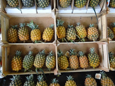 17. Ananas de Azore.JPG