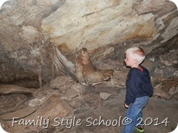 lewis and clark caverns2